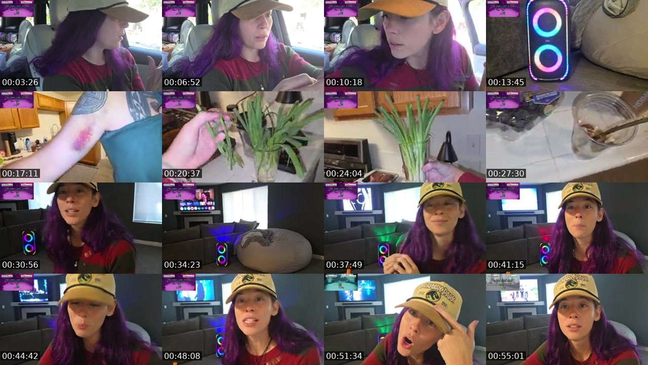Contact-sheet preview of FlexieFae's Kick recording
