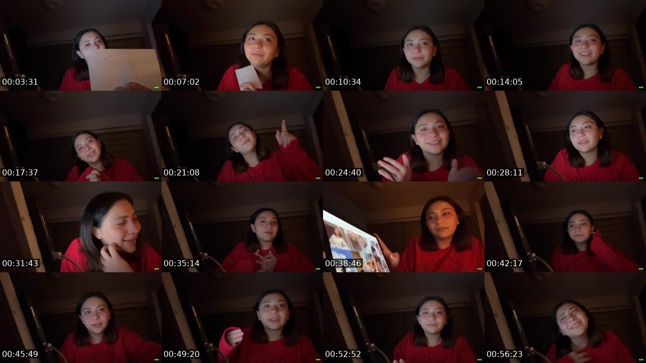 Contact-sheet preview of UnacoquitaconLu's Kick recording