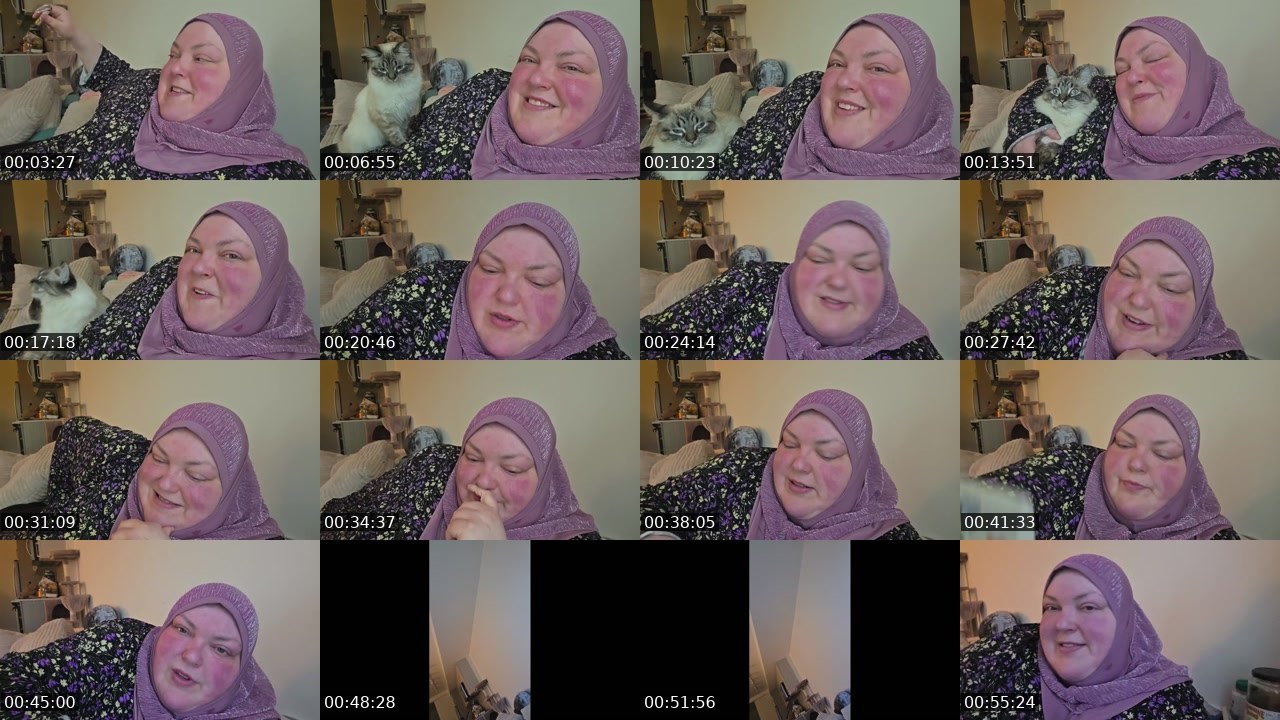 Contact-sheet preview of foodiebeautykick's Kick recording