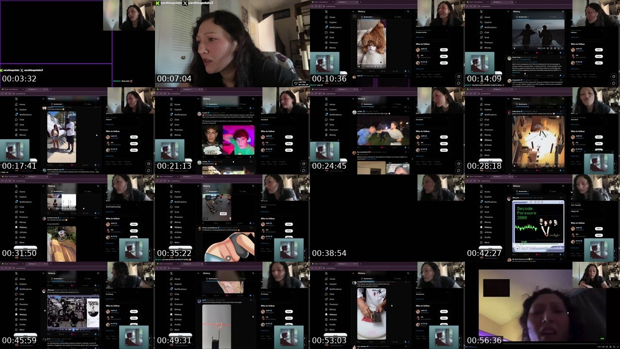 Contact-sheet preview of sarahisapotato's Kick recording