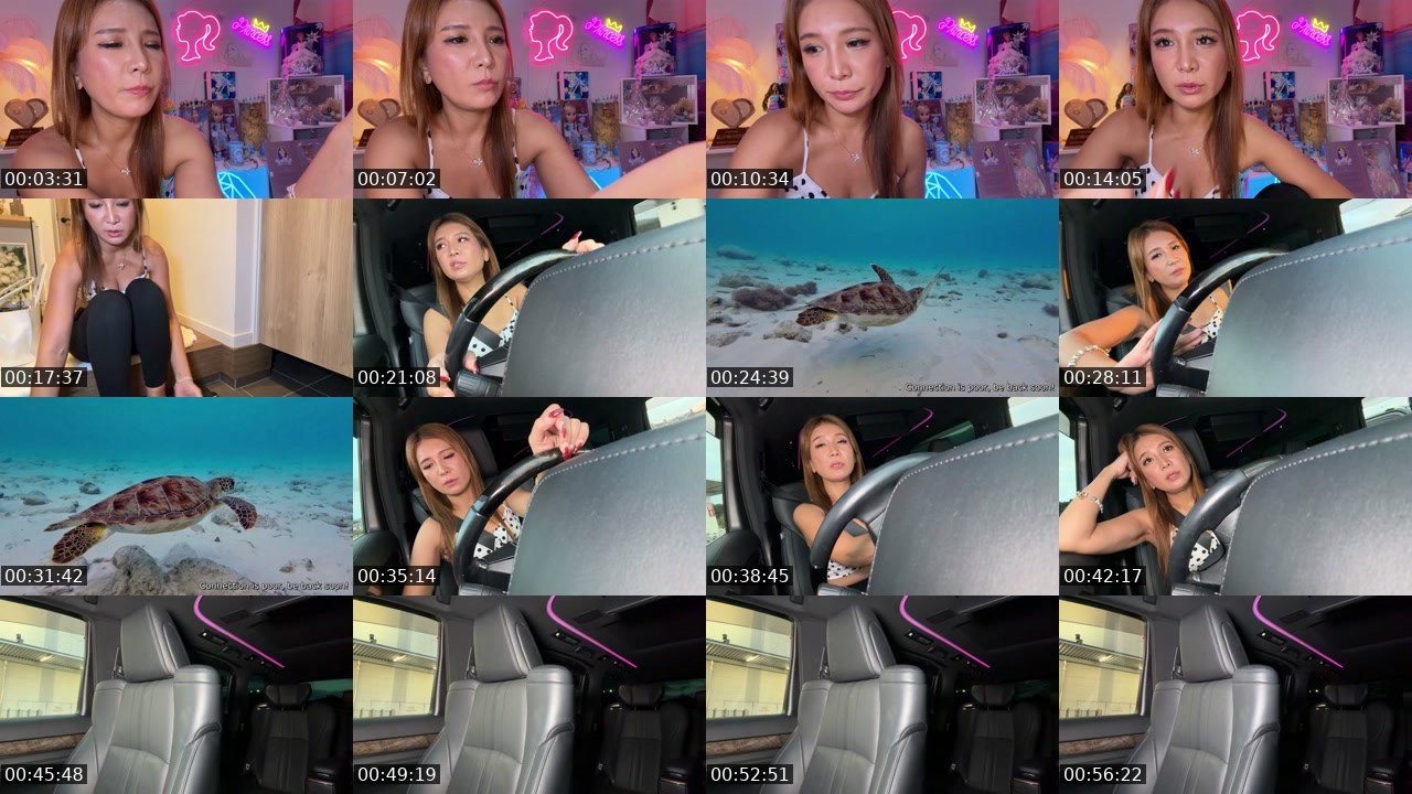 Contact-sheet preview of SHIKI444's Kick recording