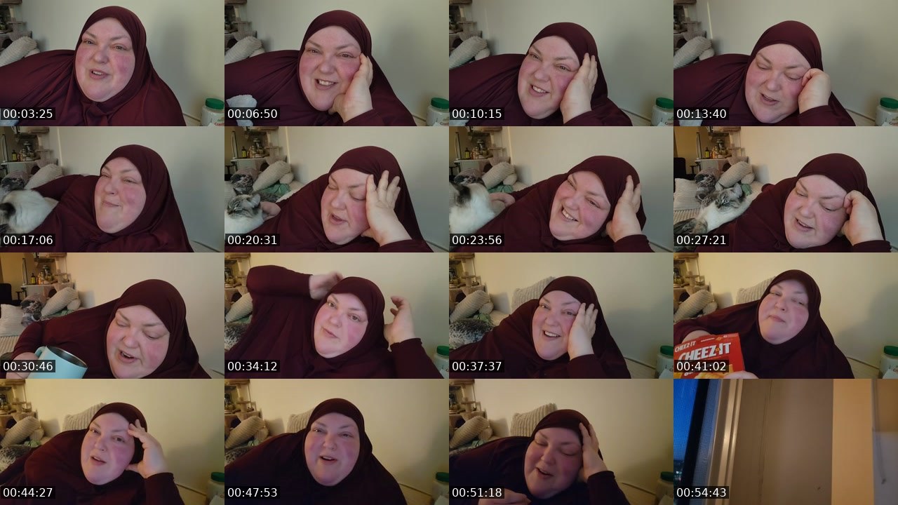 Contact-sheet preview of foodiebeautykick's Kick recording