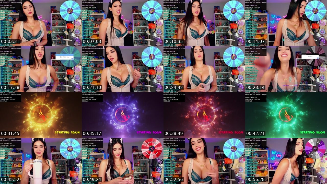 Contact-sheet preview of CinCinBear's Kick recording