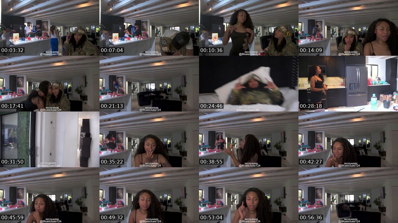 Contact-sheet preview of bluesclues124's Kick recording