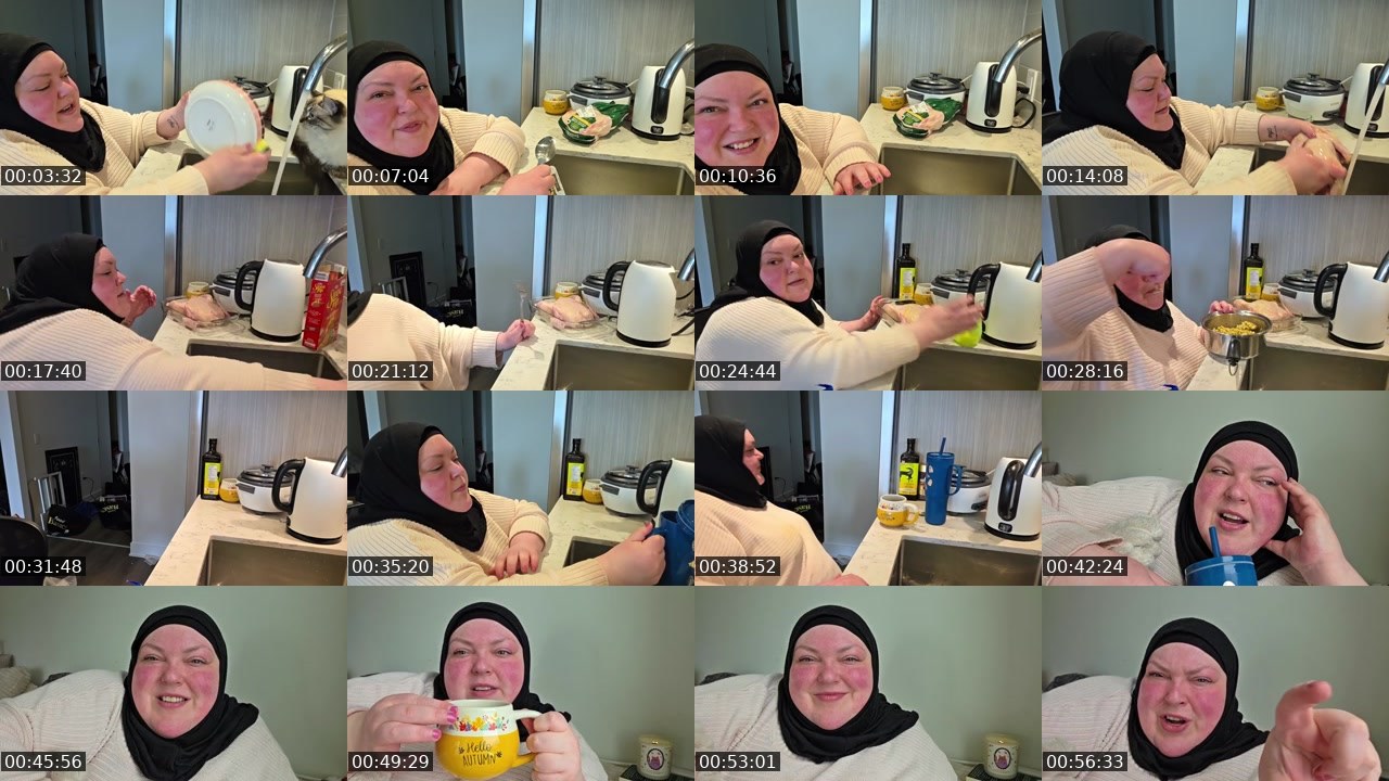 Contact-sheet preview of foodiebeautykick's Kick recording