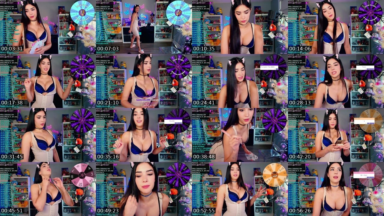 Contact-sheet preview of CinCinBear's Kick recording