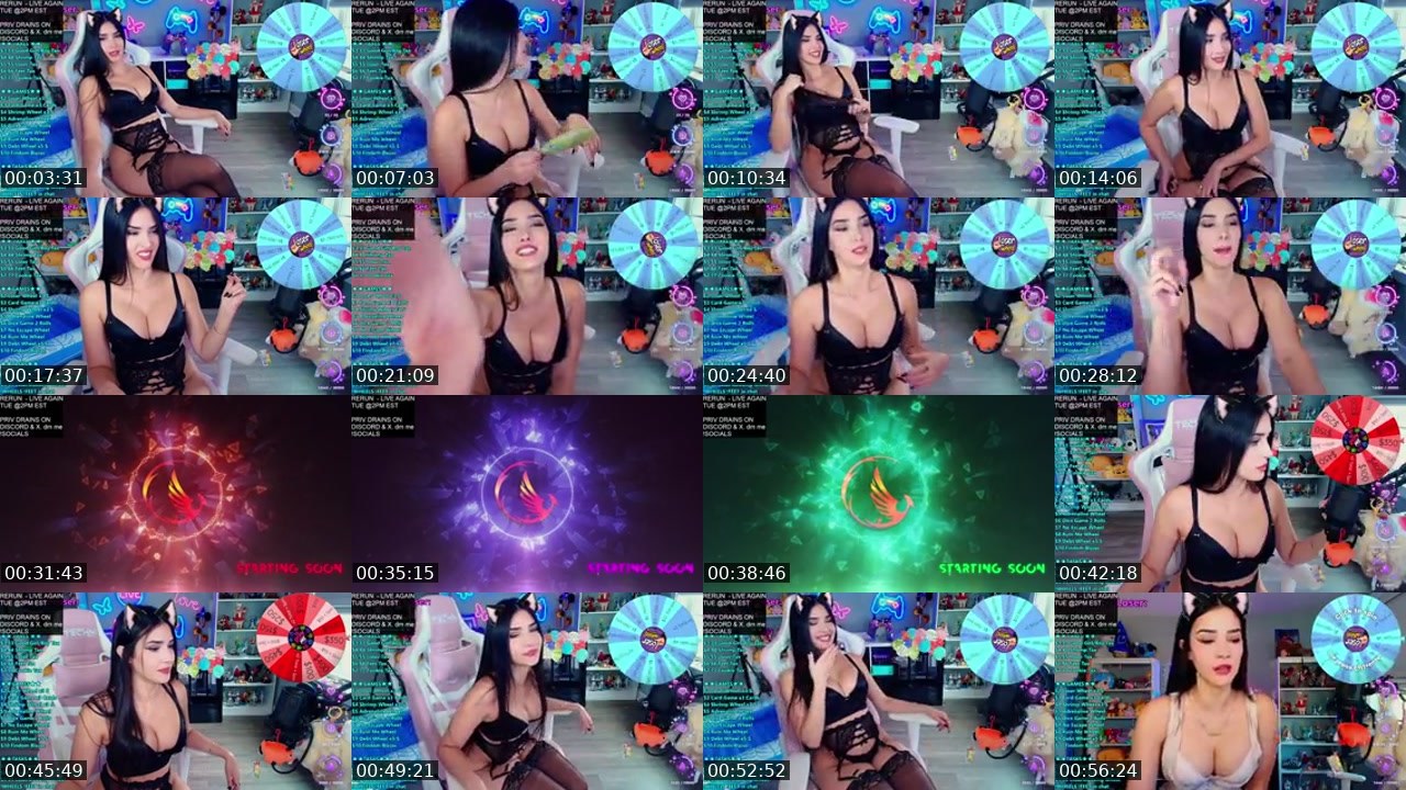 Contact-sheet preview of CinCinBear's Kick recording