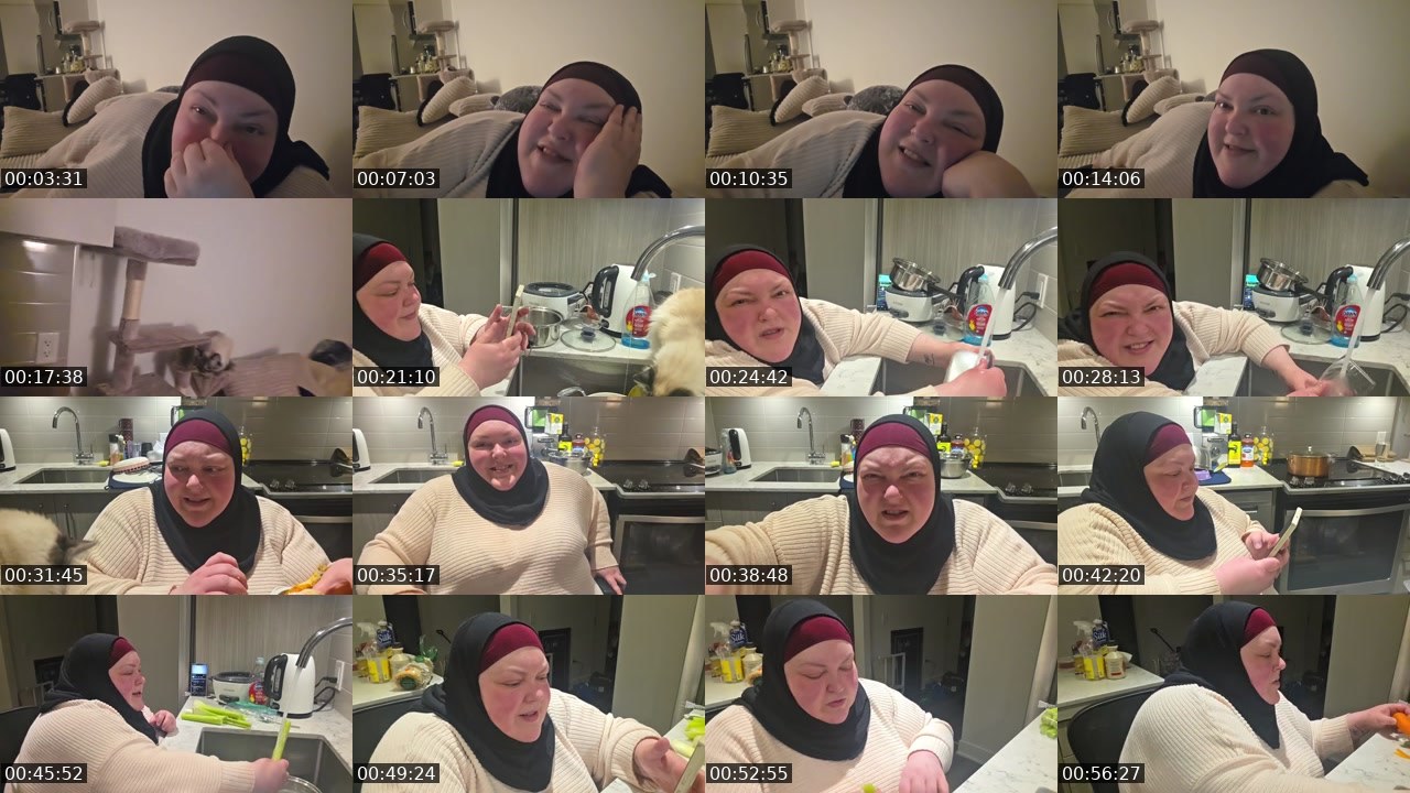 Contact-sheet preview of foodiebeautykick's Kick recording