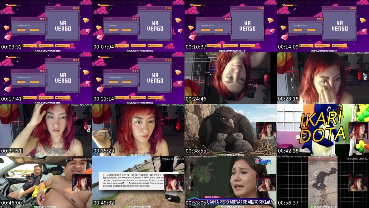 Contact-sheet preview of PauChikita's Kick recording