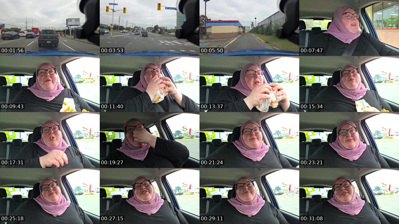 Contact-sheet preview of foodiebeautykick's Kick recording