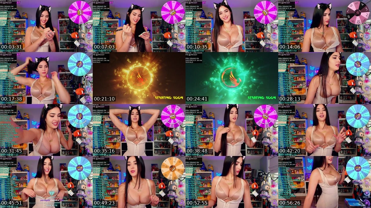 Contact-sheet preview of CinCinBear's Kick recording