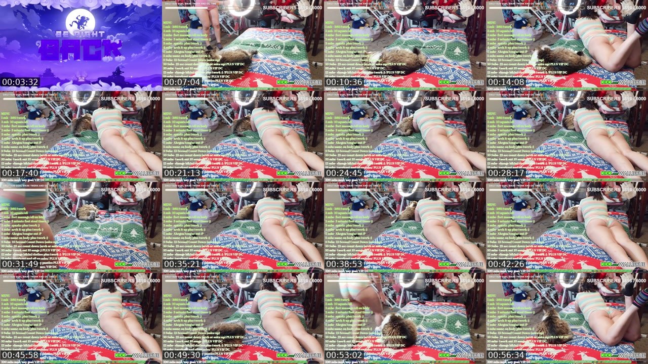 Contact-sheet preview of WallieSue's Kick recording