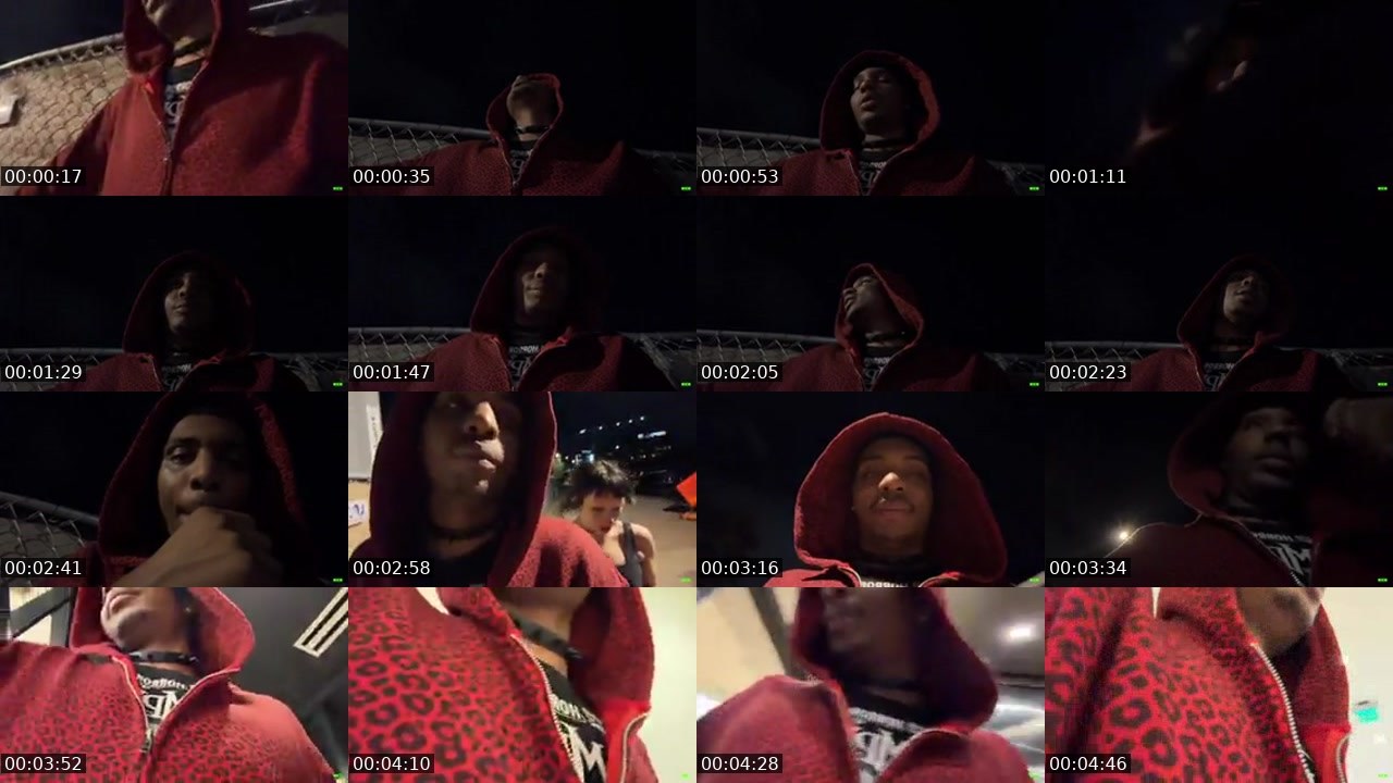 Contact-sheet preview of SheLuvsBats's Kick recording
