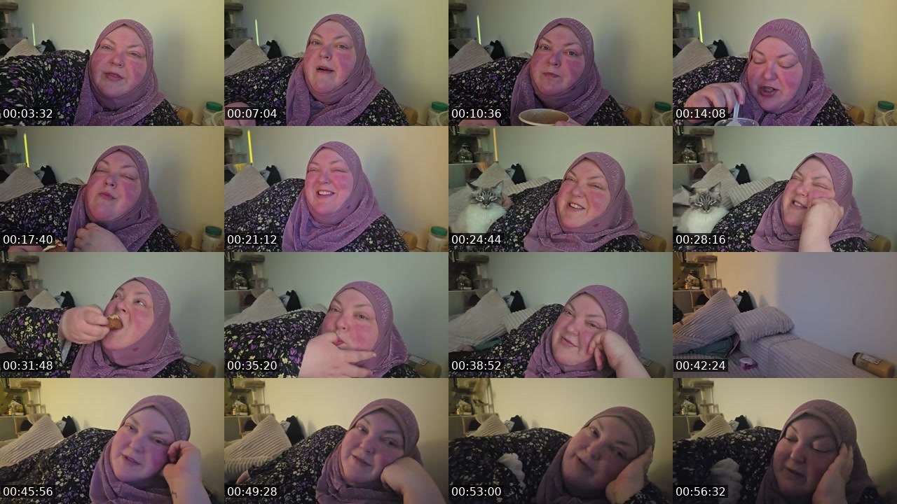 Contact-sheet preview of foodiebeautykick's Kick recording