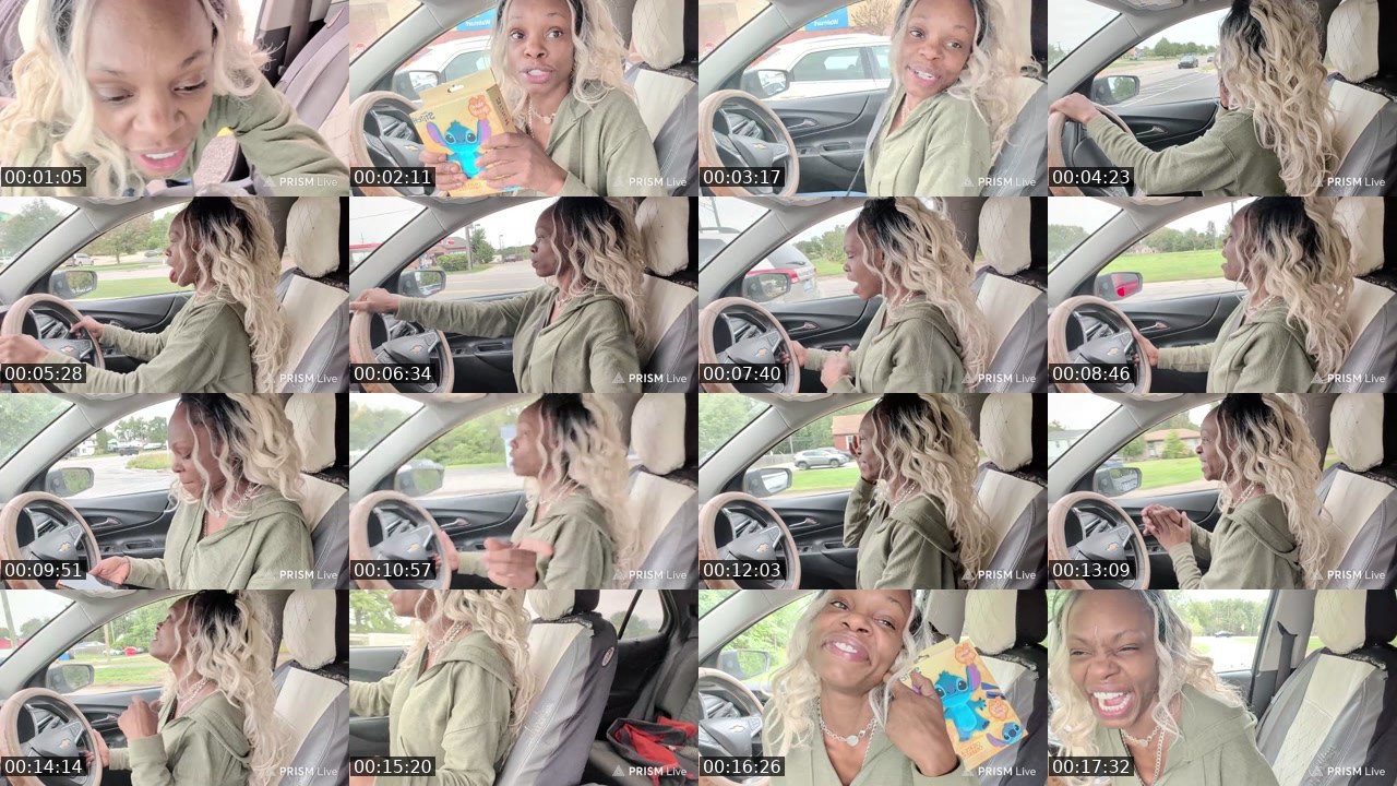 Contact-sheet preview of TeiganFoxxe's Kick recording