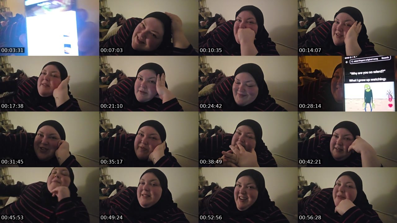 Contact-sheet preview of foodiebeautykick's Kick recording