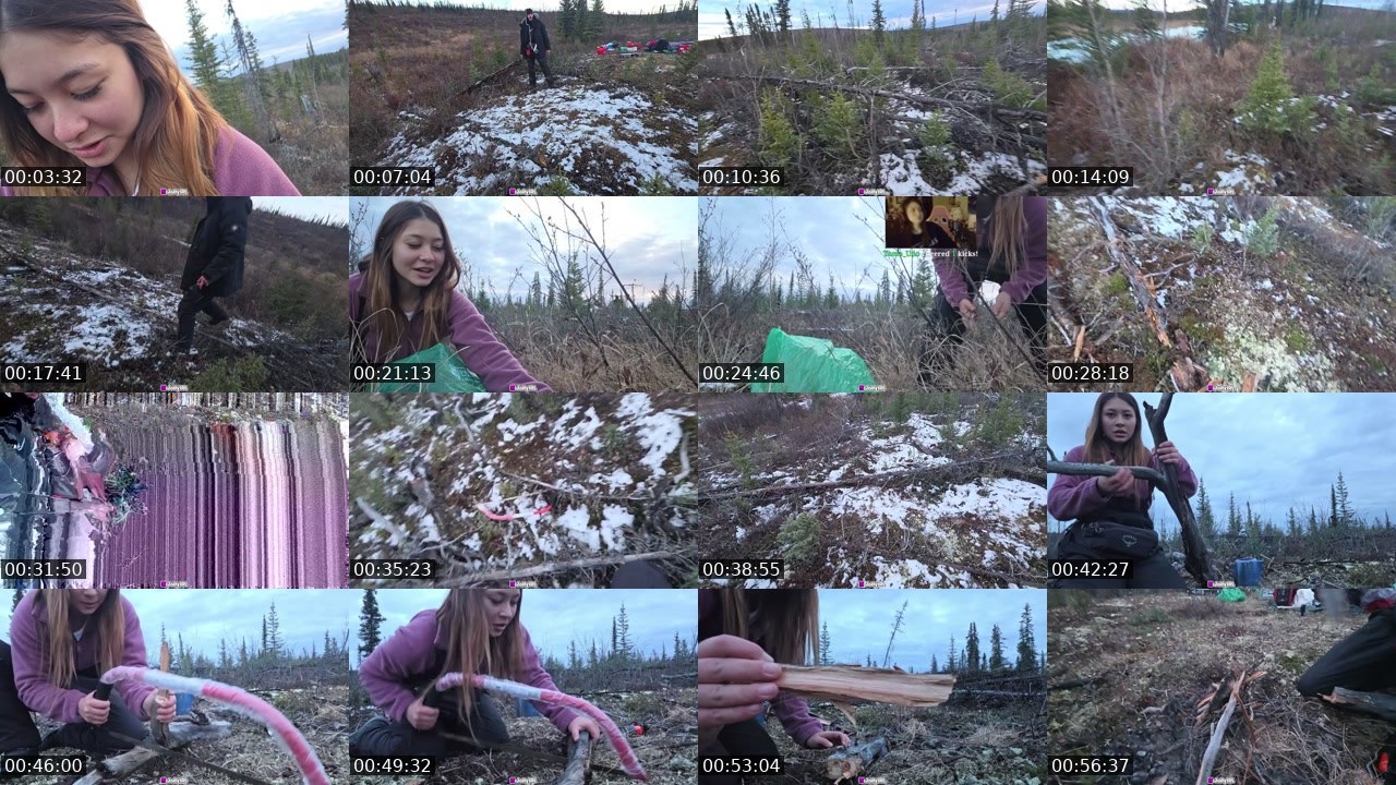 Contact-sheet preview of JollyIRL's Kick recording