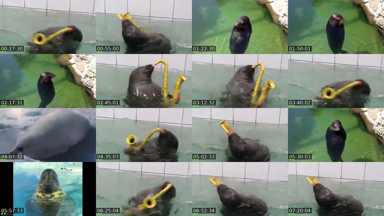 Contact-sheet preview of FlexingSeal's Kick recording