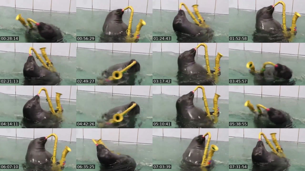 Contact-sheet preview of FlexingSeal's Kick recording