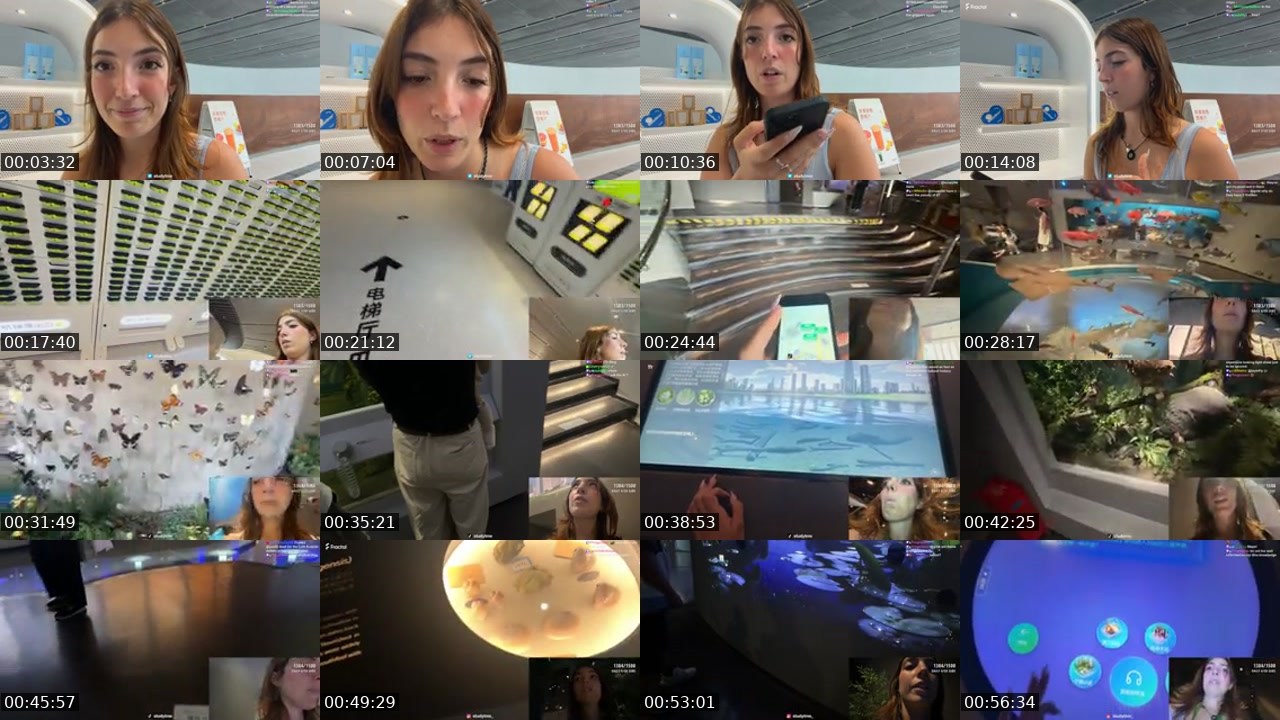 Contact-sheet preview of StudyTme's Kick recording