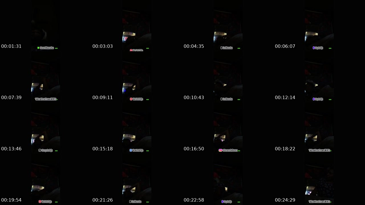 Contact-sheet preview of TheRealCinnaminn's Kick recording