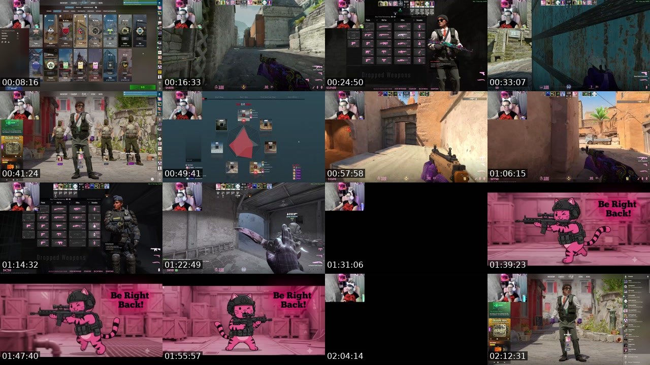 Contact-sheet preview of PixelKat's Kick recording