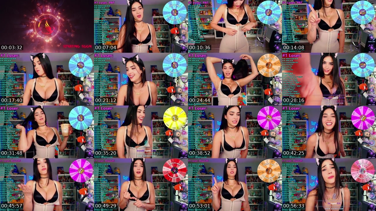 Contact-sheet preview of CinCinBear's Kick recording