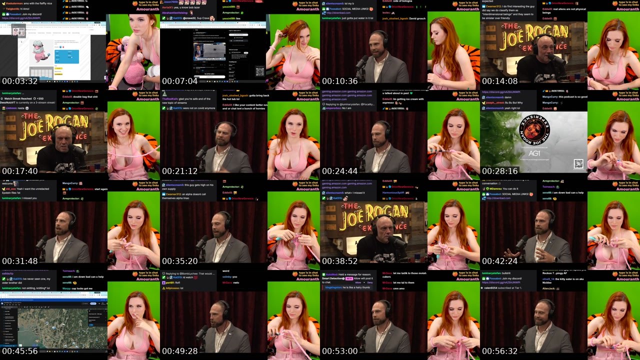 Contact-sheet preview of Amouranth's Kick recording
