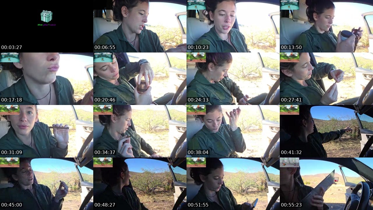 Contact-sheet preview of FlexieFae's Kick recording