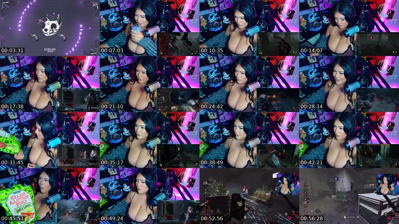 Contact-sheet preview of bigbittygoth's Kick recording