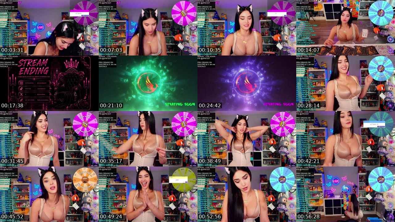 Contact-sheet preview of CinCinBear's Kick recording
