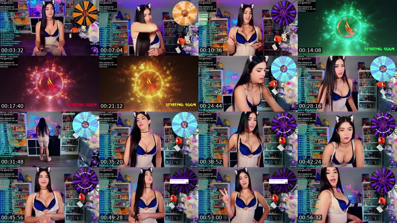 Contact-sheet preview of CinCinBear's Kick recording