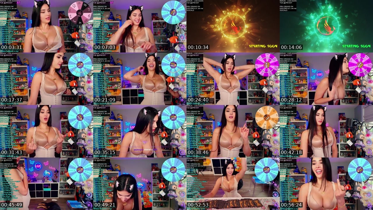 Contact-sheet preview of CinCinBear's Kick recording