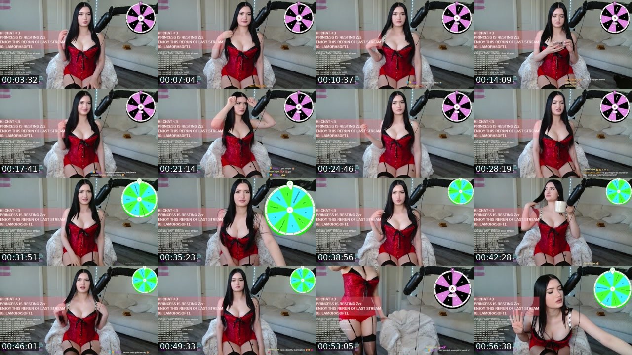 Contact-sheet preview of PrincessLami's Kick recording