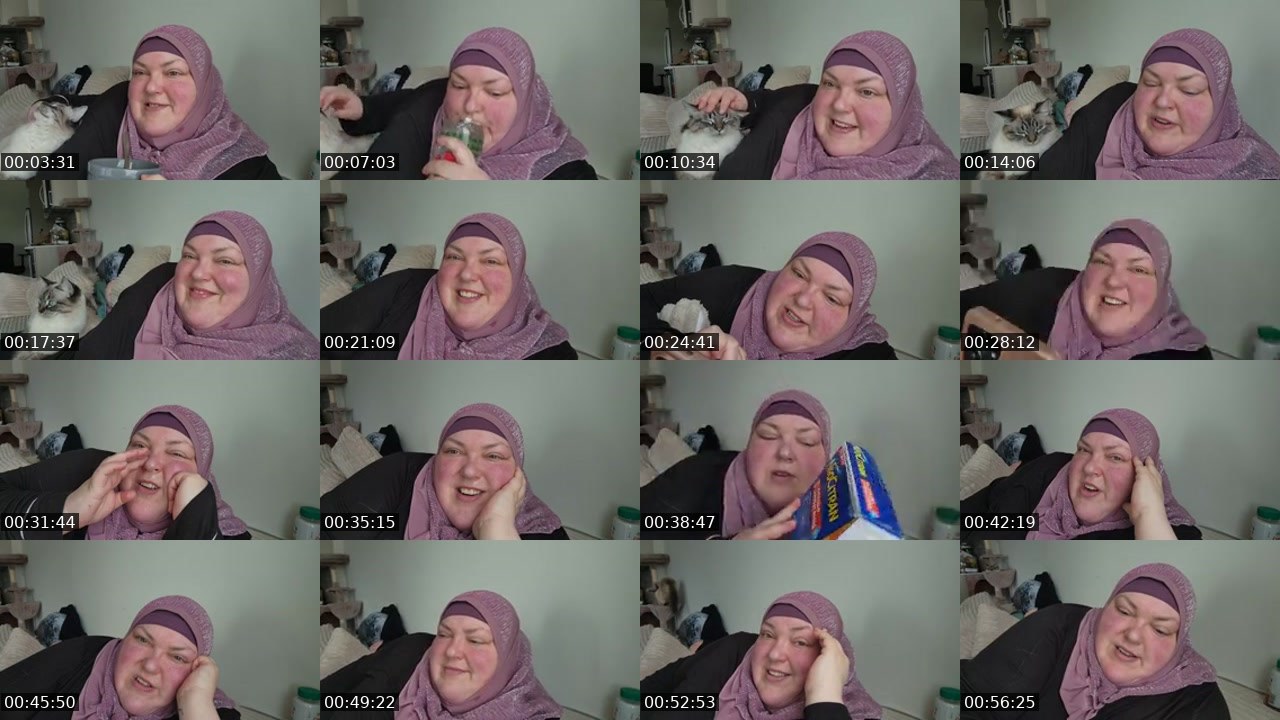 Contact-sheet preview of foodiebeautykick's Kick recording