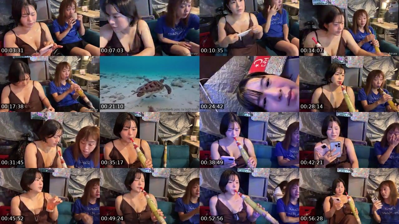 Contact-sheet preview of Tsubanyan's Kick recording