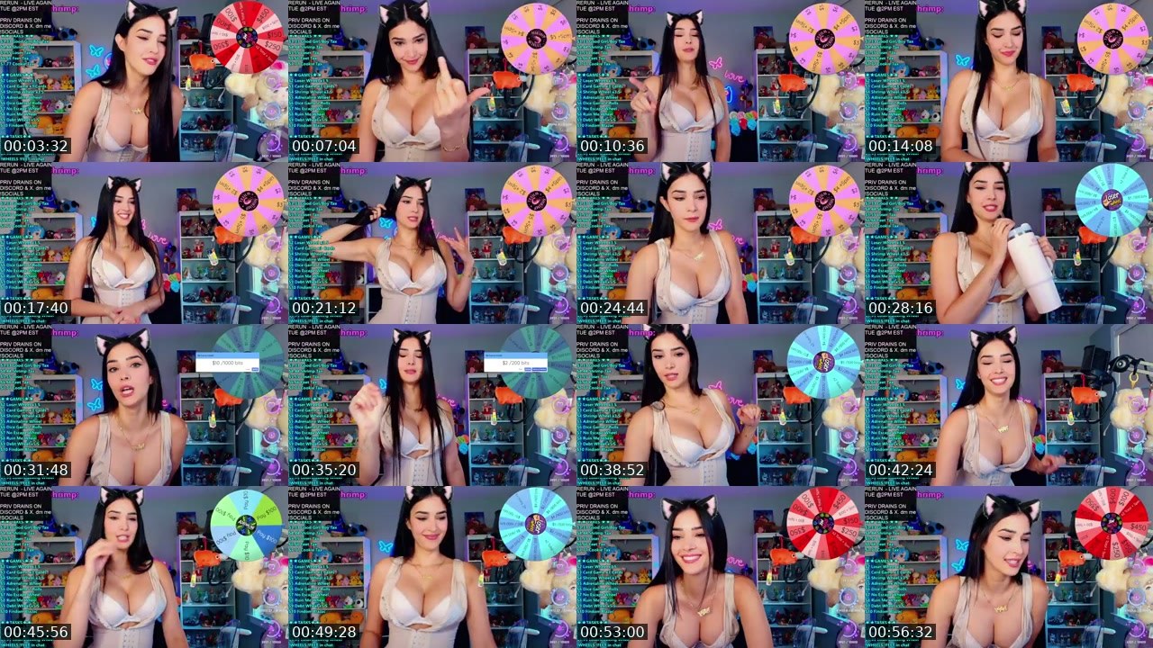 Contact-sheet preview of CinCinBear's Kick recording