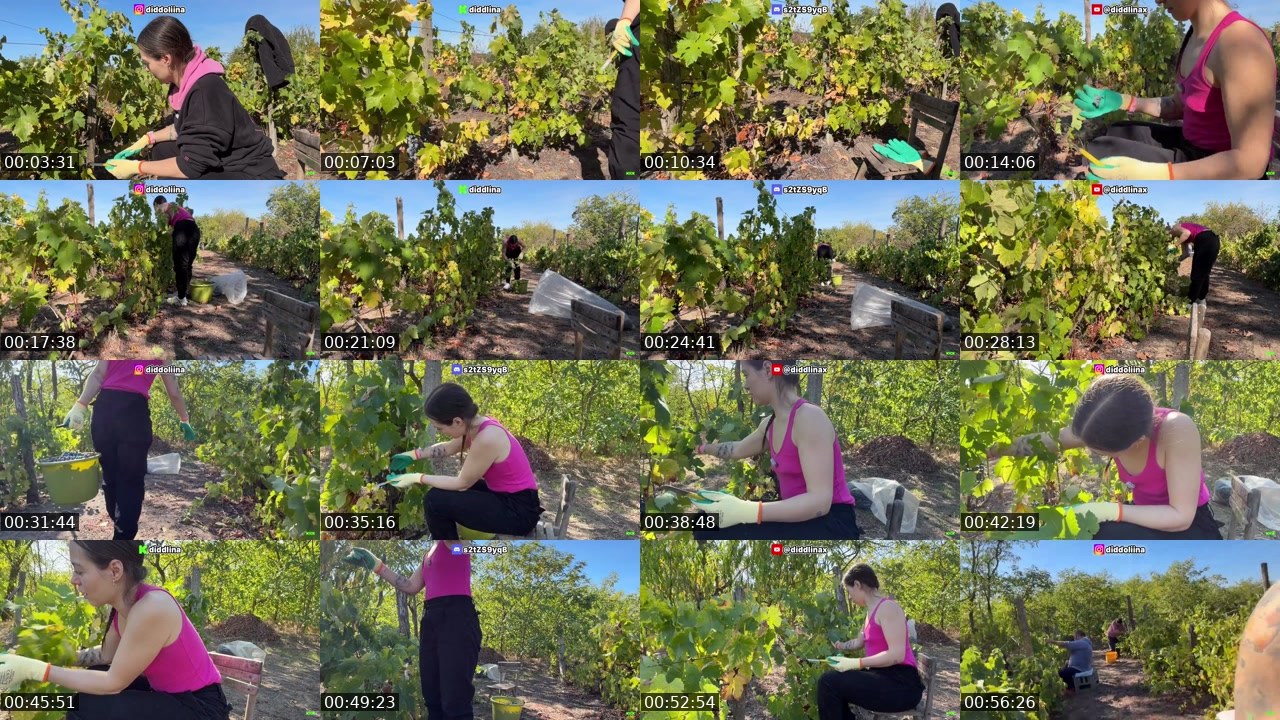 Contact-sheet preview of diddlina's Kick recording