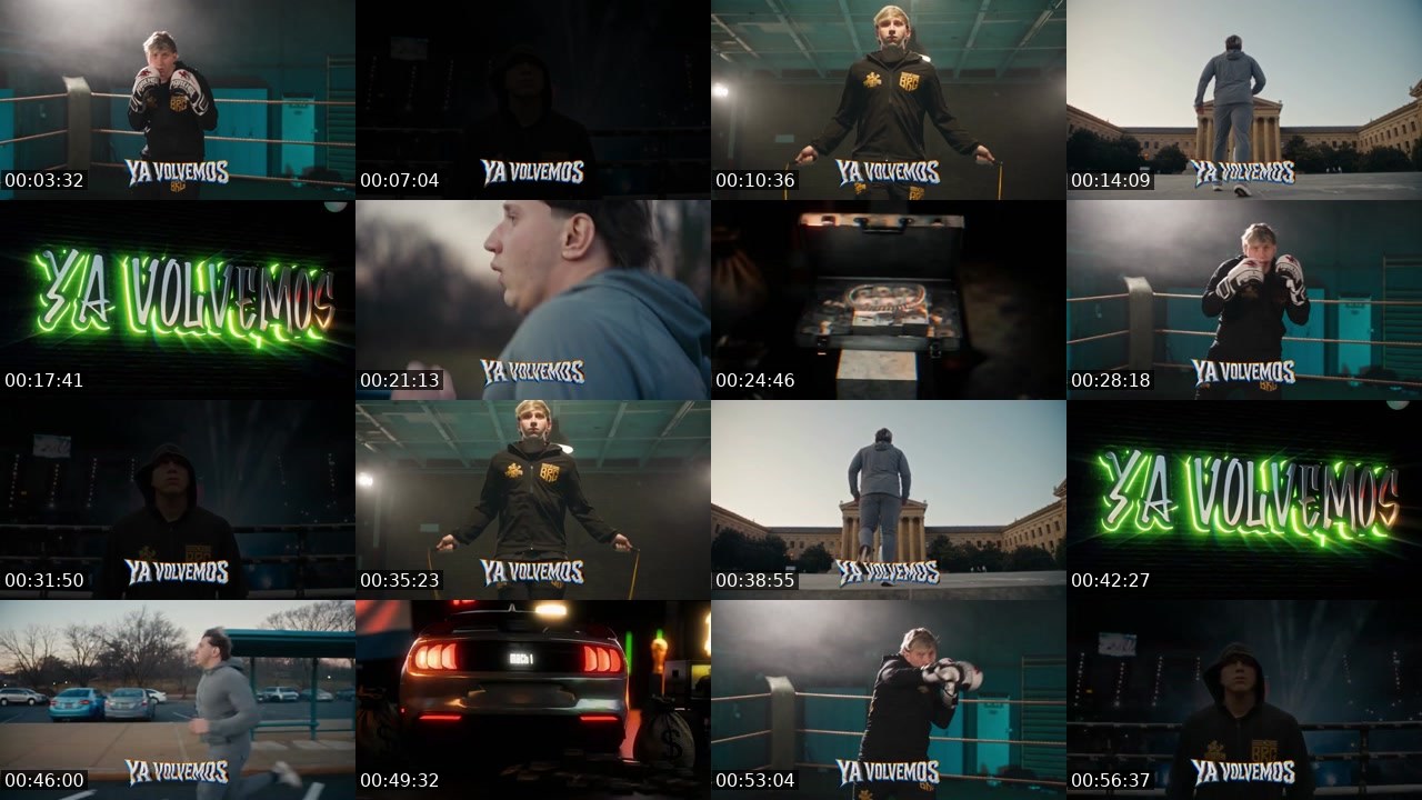 Contact-sheet preview of Brunenger's Kick recording