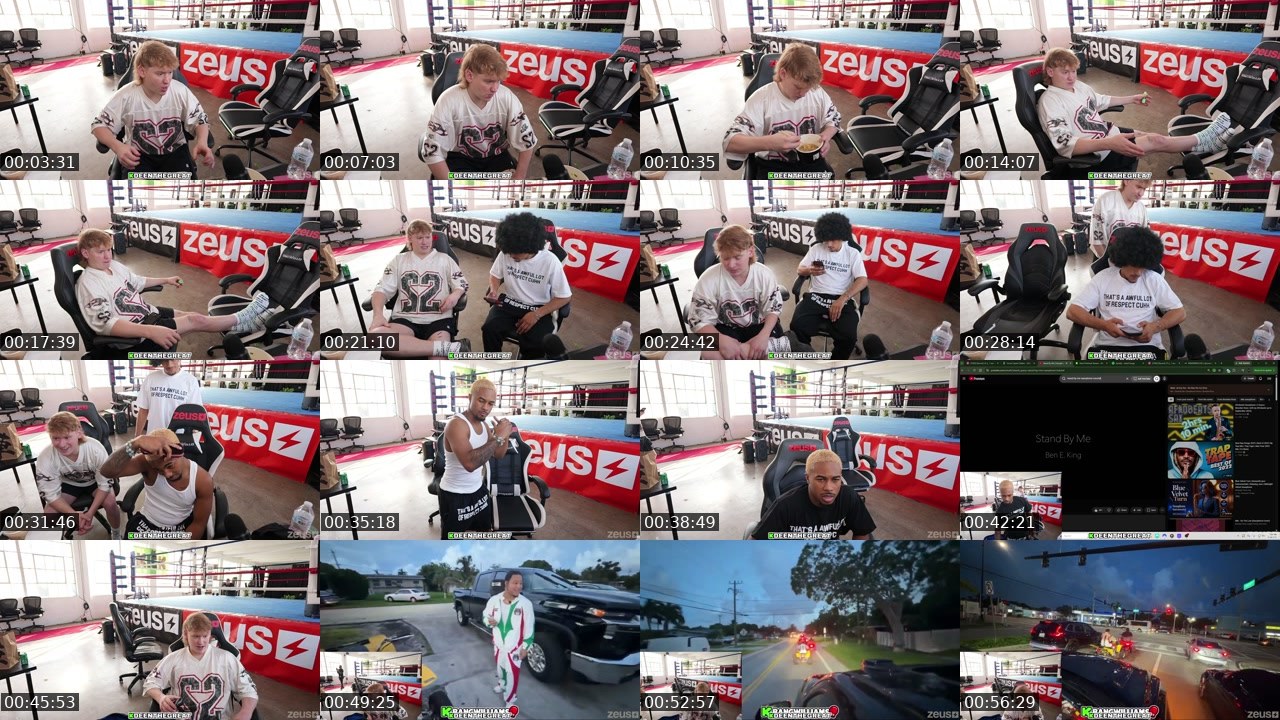 Contact-sheet preview of DeenTheGreat's Kick recording