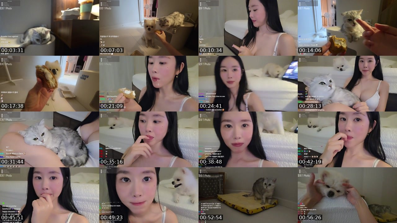 Contact-sheet preview of seoi1016's Kick recording