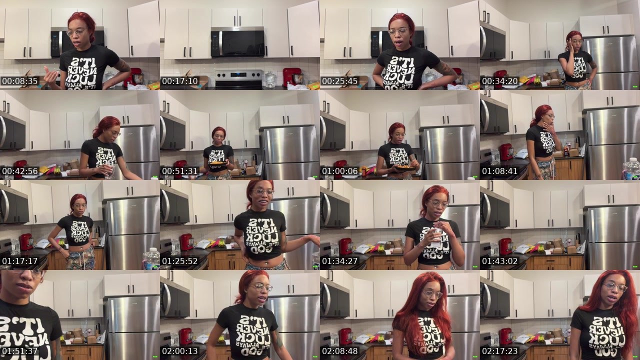 Contact-sheet preview of indiandior's Kick recording
