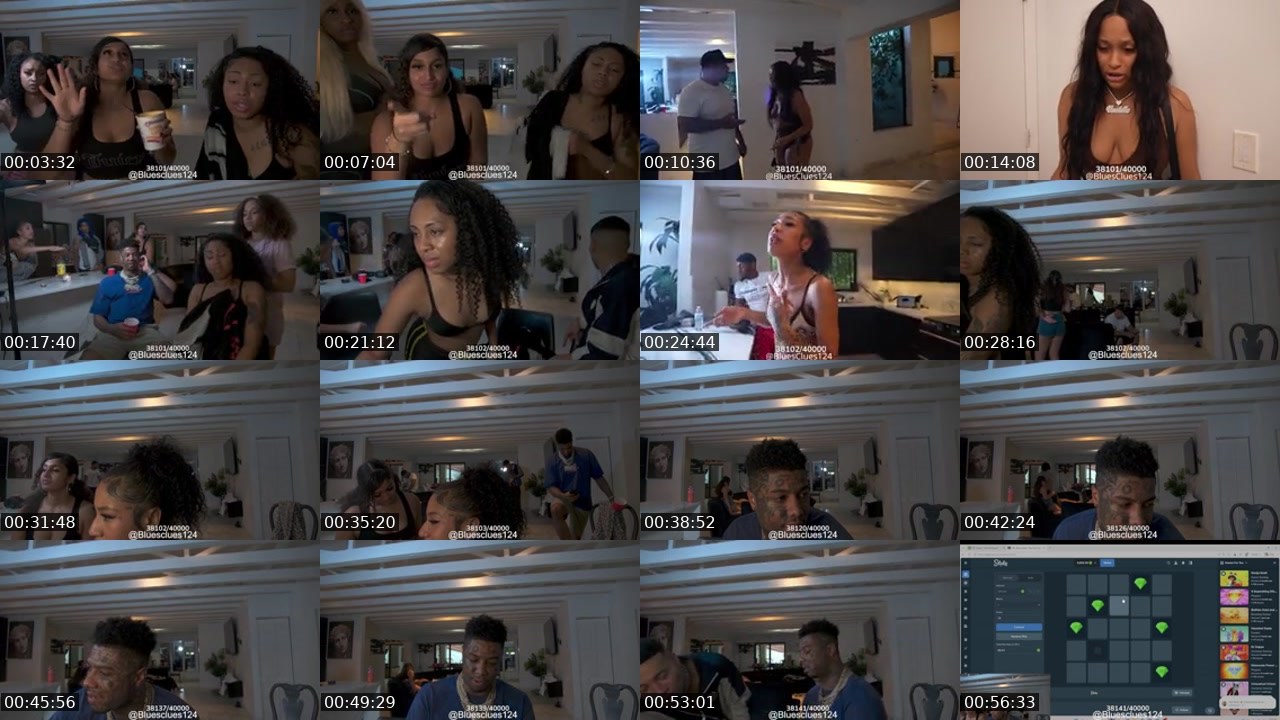 Contact-sheet preview of bluesclues124's Kick recording