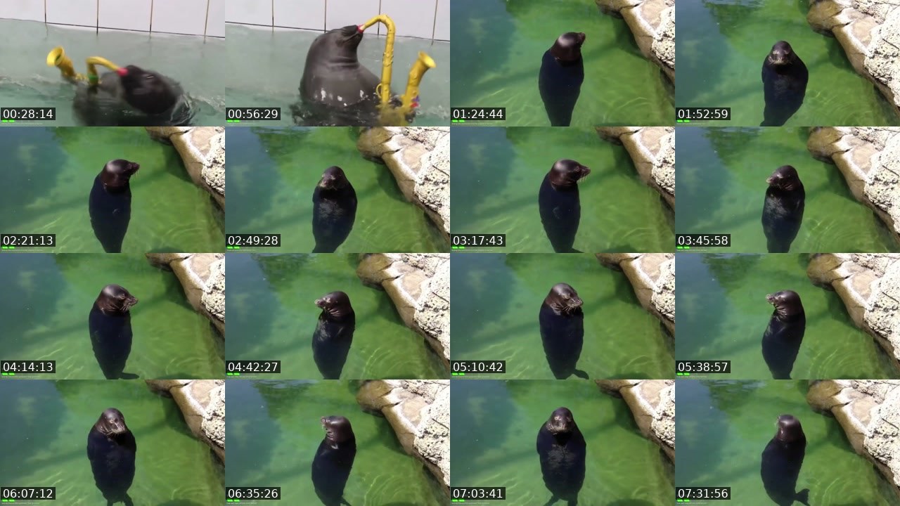 Contact-sheet preview of FlexingSeal's Kick recording