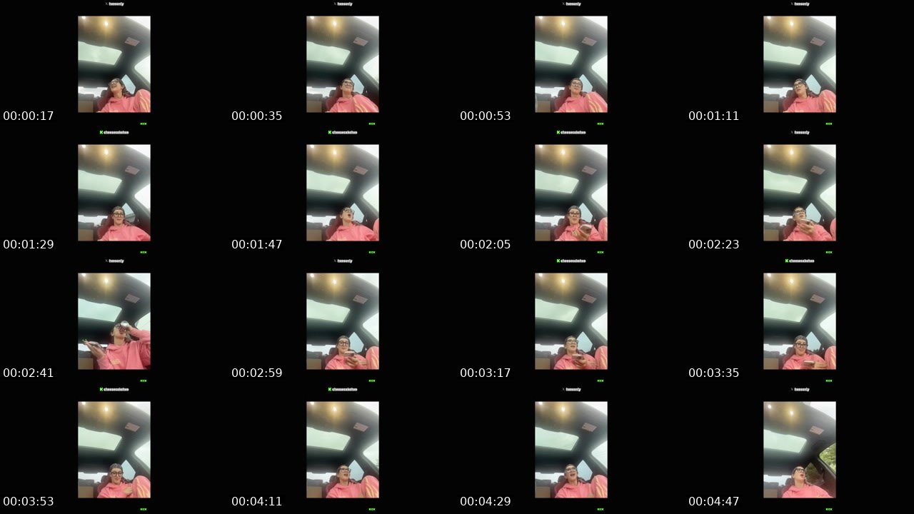 Contact-sheet preview of CheesecakeHxe's Kick recording
