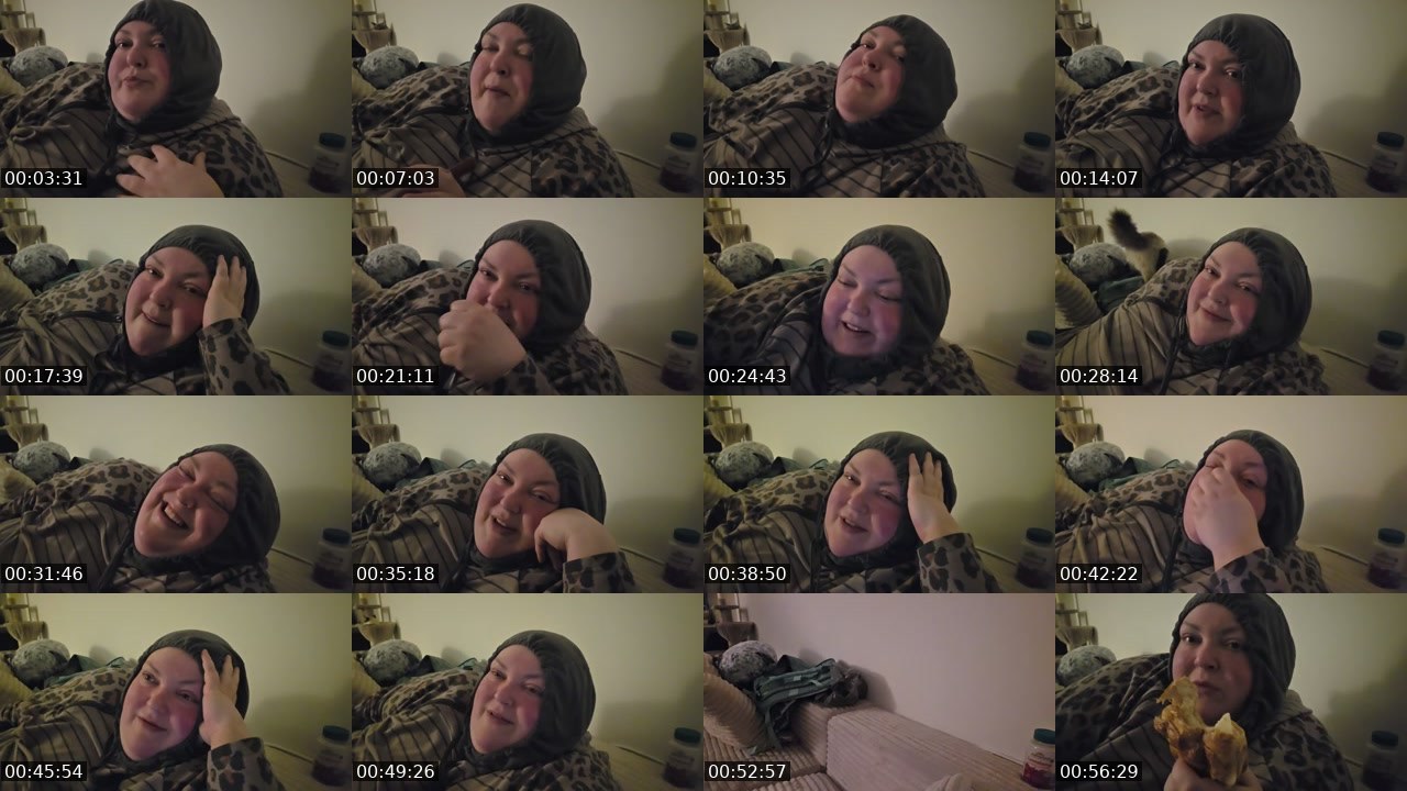 Contact-sheet preview of foodiebeautykick's Kick recording