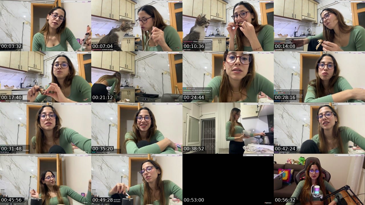 Contact-sheet preview of kybeleniz's Kick recording