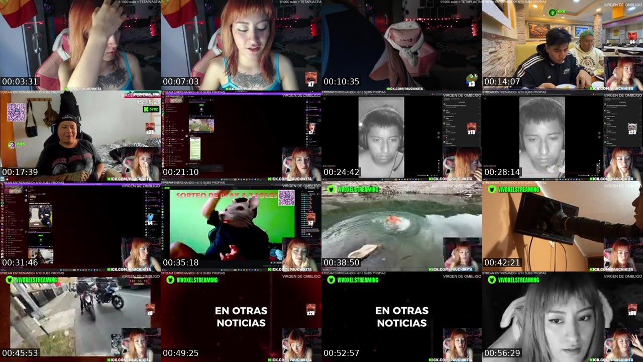 Contact-sheet preview of PauChikita's Kick recording