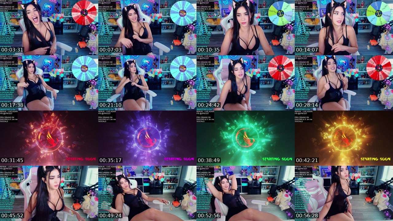 Contact-sheet preview of CinCinBear's Kick recording