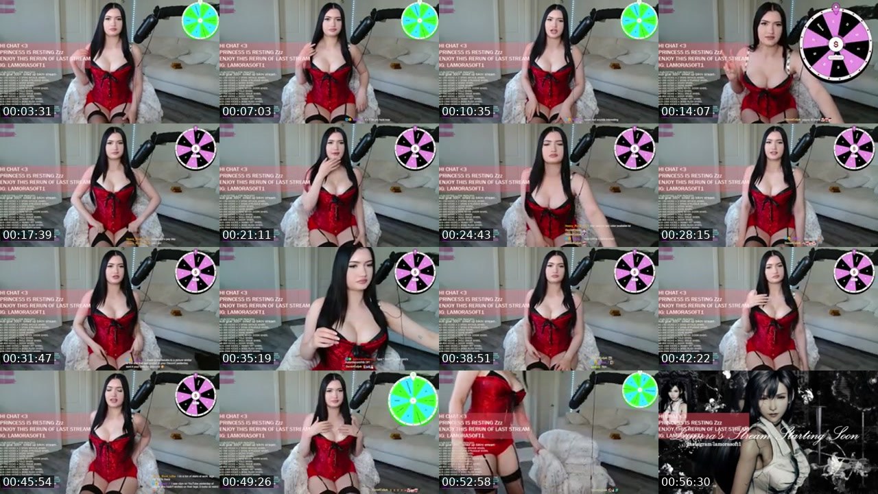 Contact-sheet preview of PrincessLami's Kick recording